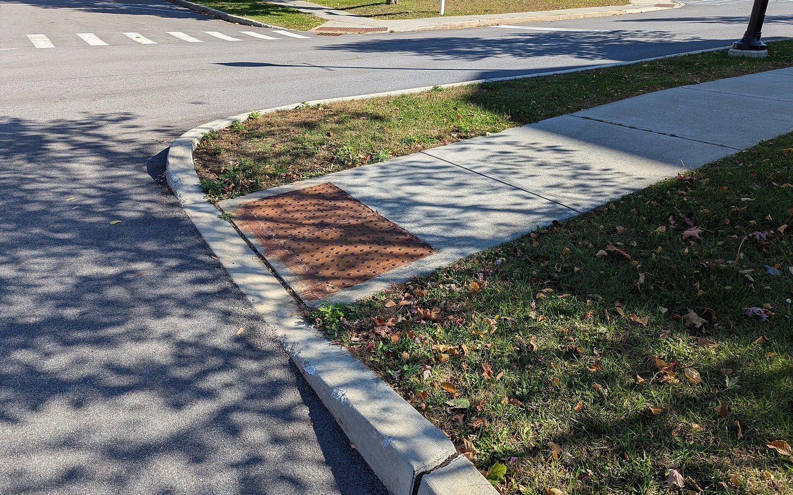 TİHEK'ten Eskişehir'de İki Belediyeye Ceza: Görme Engellinin Yolu Erişilebilir Yapılmadı